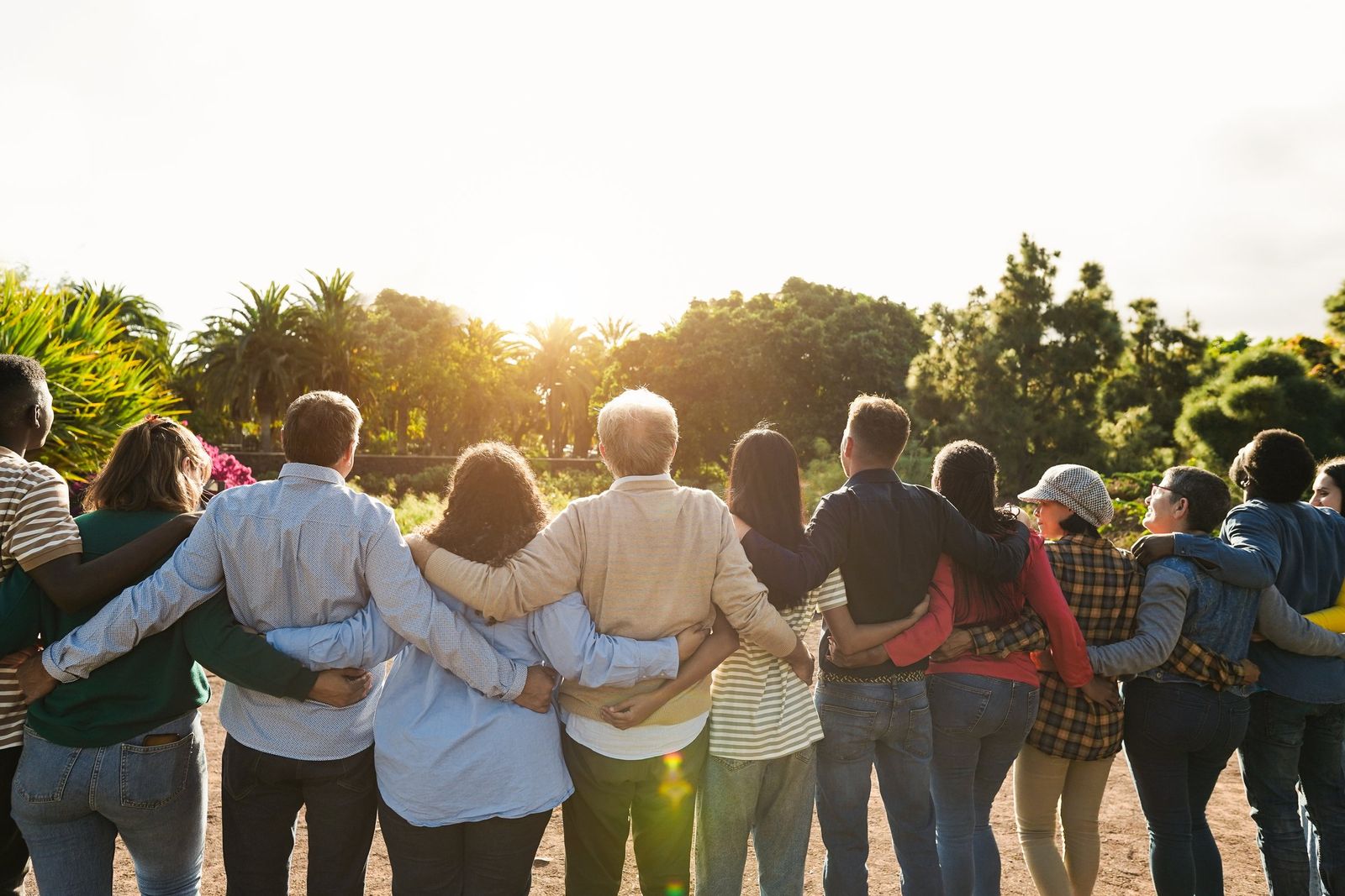 A row of people seen from behind stand with their arms around each other, looking toward trees and a low sun.