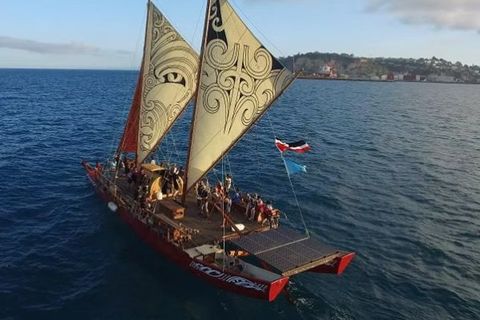 Aerial view of a double-hulled sailing waka with patterned sails and crew on deck, sailing on blue water near a coastline.